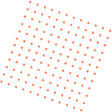 Xygus  Image